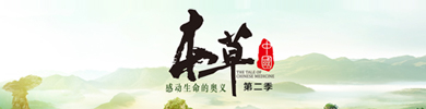 本草中国